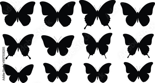 Black Butterfly Silhouette Set Featuring Twelve Different Species Icons for Nature Design Biological Diversity Environmental Conservation and Decorative Graphic Art Elements