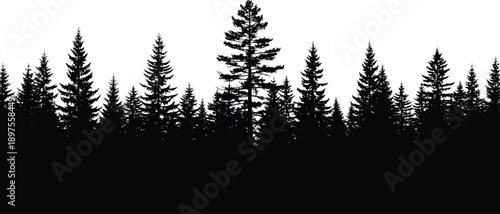 Black Pine Forest Silhouette Horizontal Banner Featuring Evergreen Fir Trees and Spruce Timber for Wilderness Nature Landscape and Outdoor Adventure