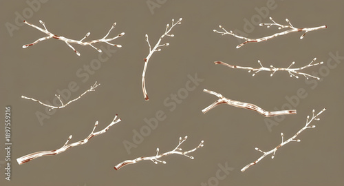 tree, branches, bare, leafless, winter, autumn, nature, botanical, forest, wood, twig, limb, silhouette, outline, black, minimal, simple, modern, flat, line, icon, symbol, vector, illustration, graphi