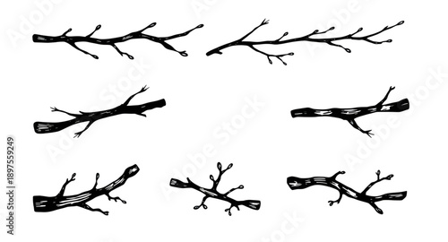 tree, branches, bare, leafless, winter, fall, nature, botanical, woodland, forest, twig, limb, silhouette, outline, minimal, simple, modern, flat, line, icon, symbol, vector, illustration, graphic, de