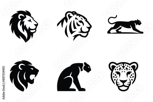 Big Cat Icons: Lion, Tiger, Panther, Leopard
