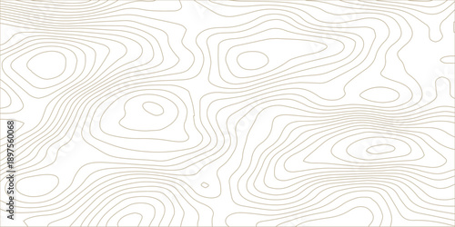 White wave paper curved reliefs abstract background, Topographic map patterns, topography line map. Vintage outdoors style. World map Template. Stock vector.