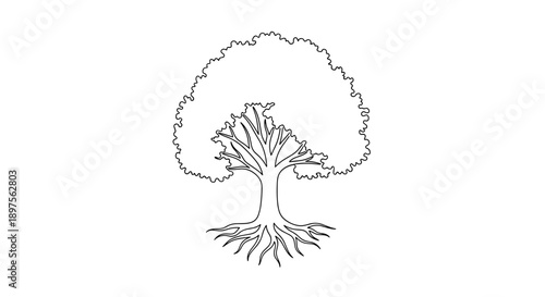 Stylized Outline Drawing of a Majestic Tree with Visible Roots.