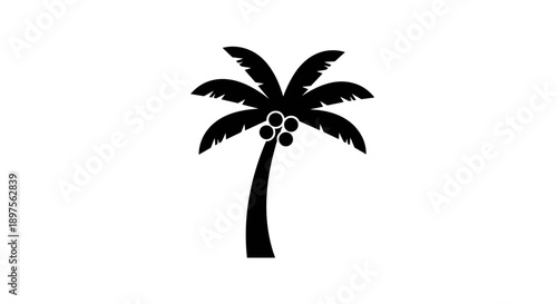 Stylized Silhouette of a Coconut Palm Tree with Coconuts.