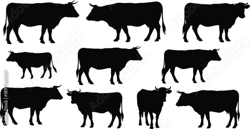 Flat vector illustration, cow silhouette set, farm animals, livestock silhouettes, black and white vector art,