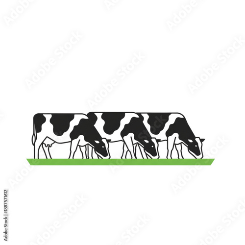 Minimal dairy farm scene with Friesian cows grazing flat vector on white background