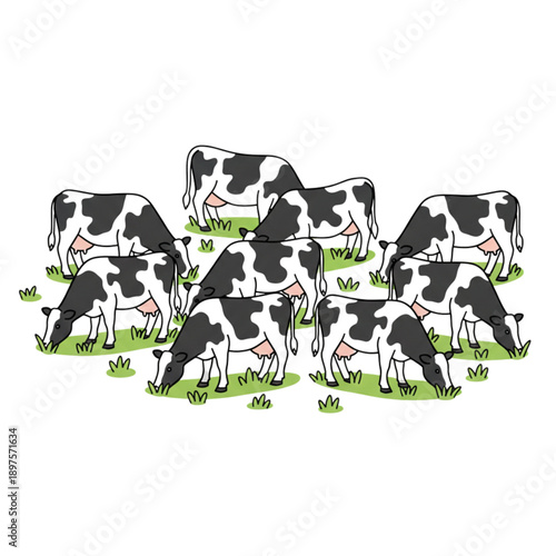 Group of Friesian cows eating grass decorative flat vector illustration isolated on white