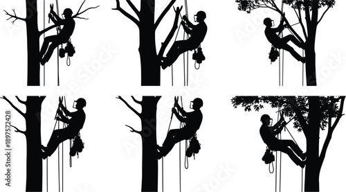 Silhouettes of arborists climbing trees, pruning branches, using ropes and safety gear, black vector illustration, tree maintenance, professional climber, outdoor work, forestry tools