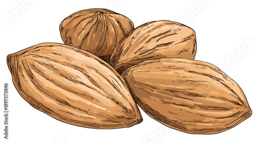 Cute Cartoon Almonds on White Background Vector Illustration
