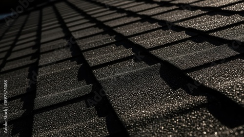 Textured Black Roof Tiles With Dramatic Shadow Play And Sparkle © ISMARITA