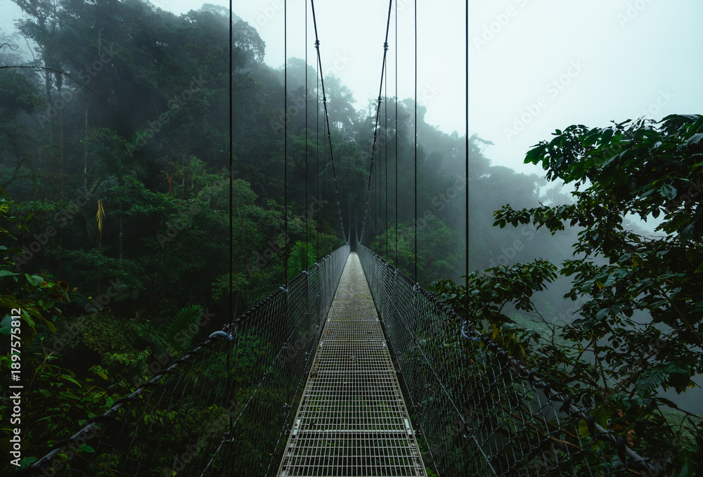 Naklejka premium Epic Misty Rainforest Hanging Bridge Costa Rica South America. Mistico Park in La Fortuna. Dark Metal Narrow Foot Path Lush Forest Trees No People