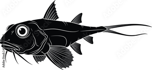 Deep sea fish silhouette illustration, marine ocean species with long tail, underwater wildlife design, aquatic animal detail, black silhouette art