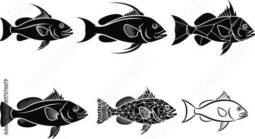 Stylized fish silhouette illustration set, modern marine and freshwater fish designs in black and white graphic style isolated on white background