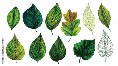 Colorful Cartoon Style Leaves Clipart Vector Illustration for Design Projects