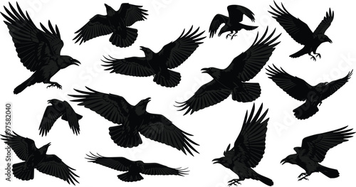 Black Crow and Raven Silhouette Vector Collection Featuring Flying and Perching Birds for Gothic Aesthetic Spooky Halloween Decor and Mythical Nature Design