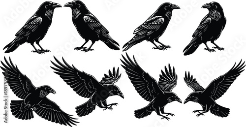 Detailed Raven and Crow Silhouette Vector Collection with Flying and Perching Black Birds for Gothic Aesthetic Spooky Halloween and Mythical Nature Design