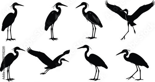 Heron and Crane Silhouette Vector Collection Featuring Standing and Flying Water Birds for Wetland Conservation Nature Wildlife and Coastal Decorative Art