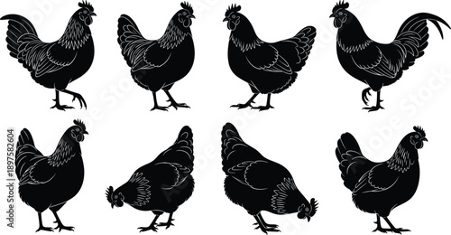 Set of black chicken silhouettes in various poses including standing and pecking, flat vector illustration on a white background.
