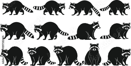 Set of Black Raccoon Silhouettes in Various Poses and Actions Isolated on White Background for Wildlife Nature and Forest Animal Graphic Design