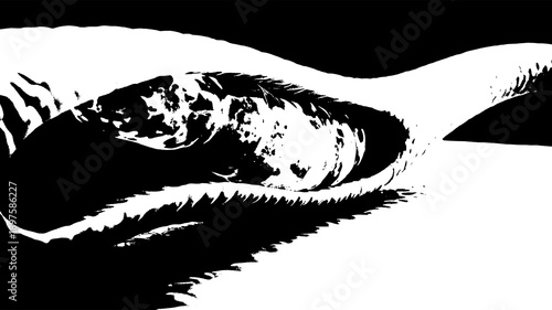 Slika na platnu Dramatic black and white abstract close-up of a snake's eye or skin texture, rep