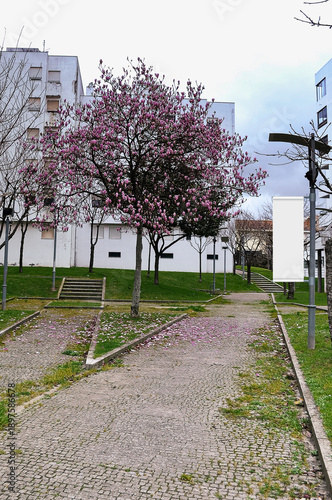 Empty Banner on a Park 
