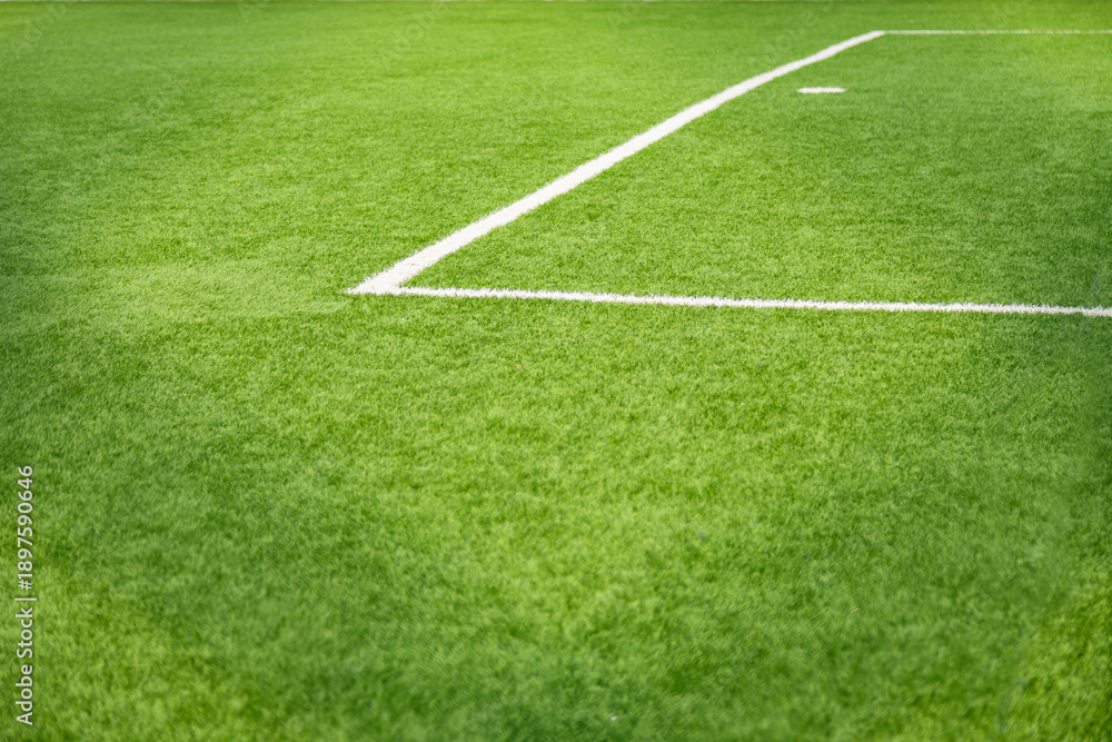 Obraz premium Close-up of white markings on the green grass of a soccer field&nbsp;