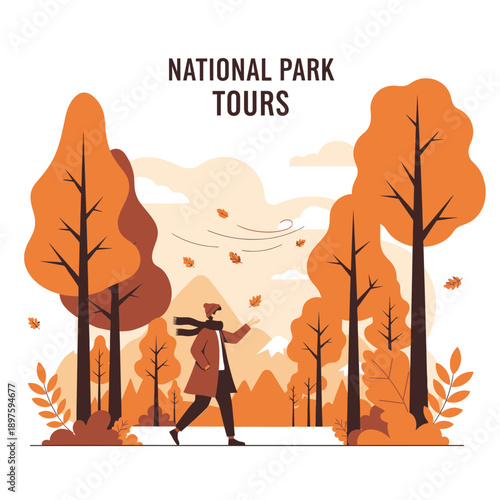 Autumnal National Park Excursion Serene Woodland Walk Experience