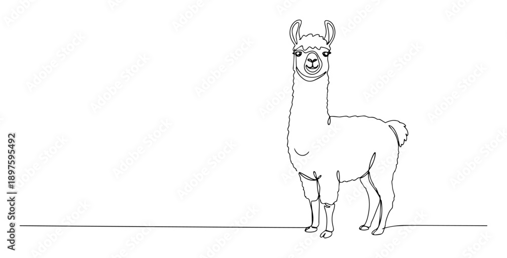 Fototapeta premium llama standing line art vector