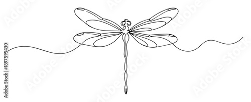 dragonfly minimal line art vector