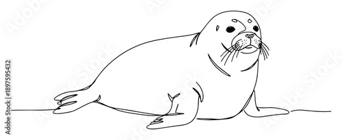 seal resting line art animal illustration