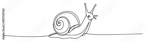smiling snail line art illustration