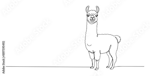llama standing line art vector