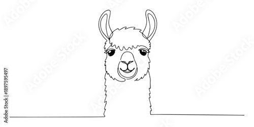 llama face closeup line art illustration