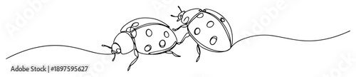 ladybugs crawling line art drawing