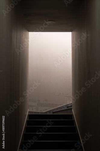 Stairs Lead to a Foggy Landscape in an Urban Setting During Early Morning Hours