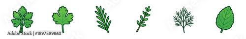 Collection of fresh culinary herb illustrations including parsley, rosemary, thyme, dill, and mint in a simple cartoon style with a bold outline for cooking and seasoning concepts