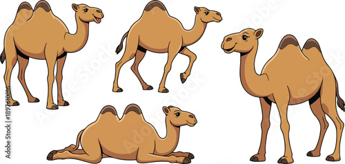 Cute Cartoon Camel Character Set in Different Poses
