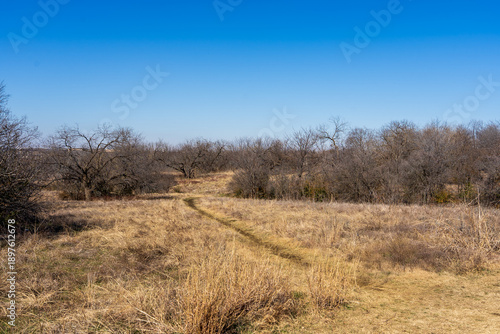 path in the field