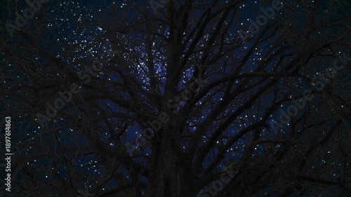 Spooky forest at night.. Oak tree with noisy crow birds flying in the sky to create a spooky atmosphere..