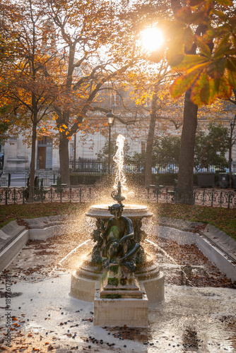 Paris park solar flare in Autumn