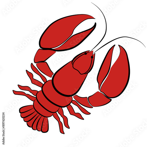Crayfish Flat Vector illustration. Red lobster. Cooking ingredient on a white background. For restaurant branding. Kitchen ingredient drawing.