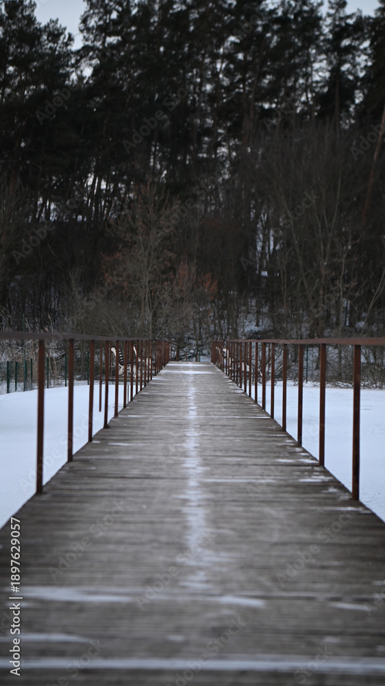 Obraz premium Wooden path leads through snow to trees under cloudy sky in winter landscape
