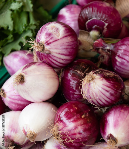 Red and white onions are piled up at a market stand with fresh greens nearby. The scene shows a variety of onions ready for customers.