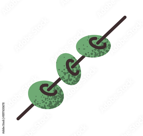 Olives skewer for serving cocktails