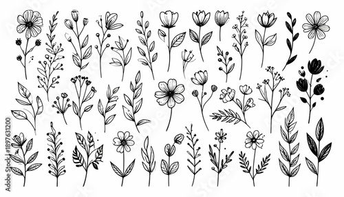 Collection of various hand-drawn flowers and foliage in black and white.