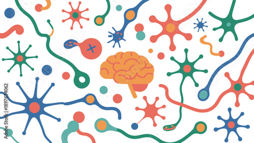 A colorful illustration of neurons and a brain on a white background, representing the human nervous system and brain function.