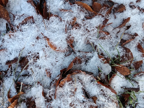 Eiskristalle im Winter mit schöner Struktur