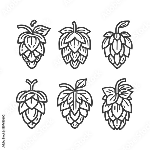 Six stylized hop cones in black and white line art.