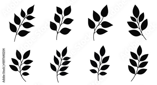 eight leaves arranged in two rows, varied orientations, balanced composition