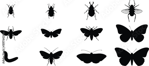 Diverse Insect and Larvae Silhouettes Collection